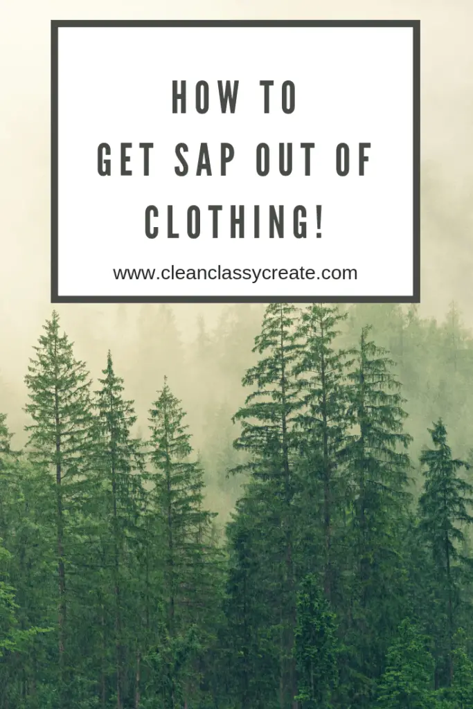 How To Get Sap Out Of Clothing 3 Easy Solutions Clean Classy,Weeping Willow Leaf